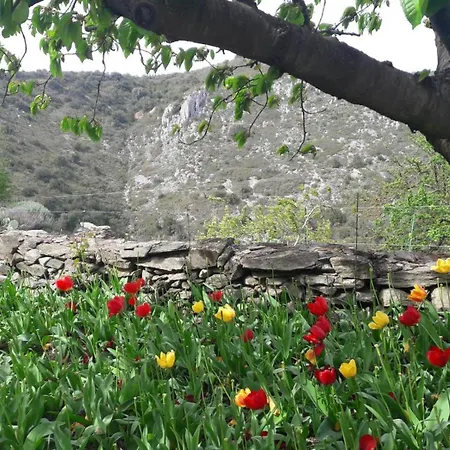 Le Fleuri Holiday home