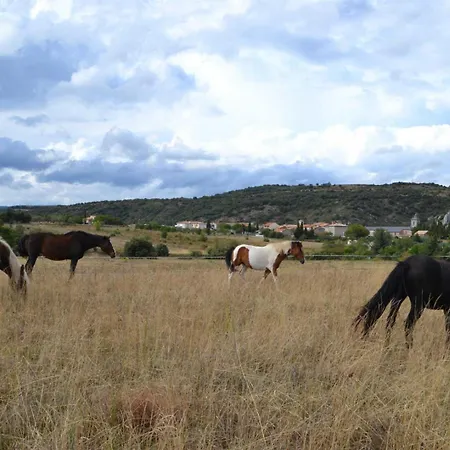 Le Fleuri בית נופש